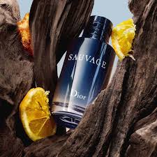 Sauvegarde Test